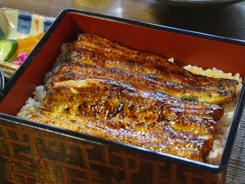 分不相応な国産特上うなぎを味わう＠浜松市「曳馬野」